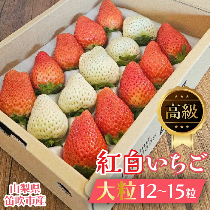 【ふるさと納税】贈答用 紅白いちご大粒12～15粒入り一箱 ふるさと納税 いちご イチゴ 苺 大粒 笛吹市 国産 人気 期間限定 果物 フルーツ 旬 ギフト 贈り物 プレゼント 贈答用 山梨県 送料無料 164-001
