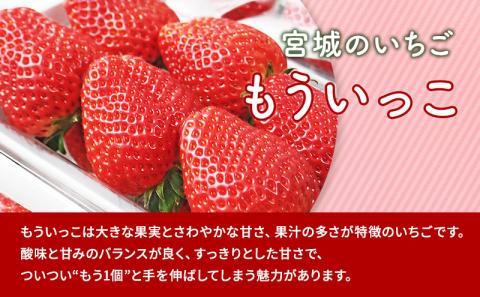 【1月発送】糖度の中に程よい酸味　亘理産おらほのいちご「もういっこ」