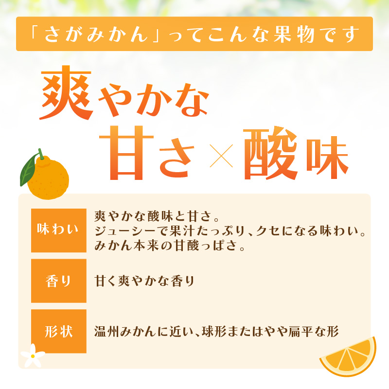 佐賀産さがみかん 約5kg箱 (伊万里市) 柑橘類 147-B800