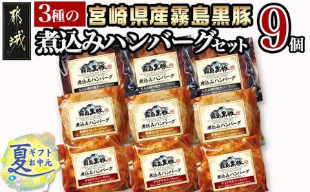 【お中元】霧島黒豚 3種の煮込みハンバーグギフト (デミグラスソース仕立て・和風おろしソース仕立て・大人の照焼きソース仕立て)_AA-2804-SG_(都城市) 霧島黒豚 煮込みハンバーグ デミグラス 和風おろし 照焼き ギフト 贈答用