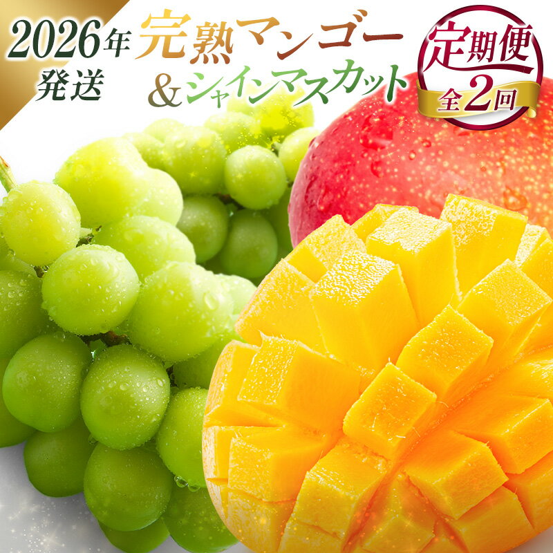 【ふるさと納税】＜2026年発送＞ フルーツ 定期便 完熟マンゴー シャインマスカット ぶどう 先行予約 初夏 秋 旬 果物 全2回