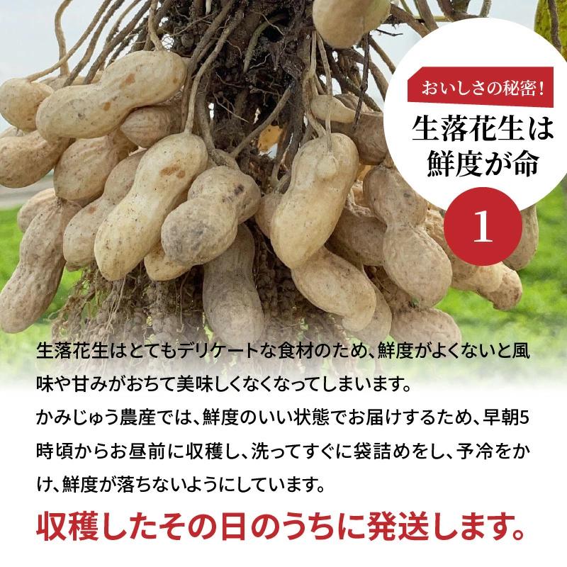 【2026年発送】事前予約 訳あり やみつき極うま “金の生落花生” 塩ゆで専用 2kg(500g×4袋）　H105-144