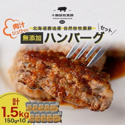 【毎月定期便】自然放牧黒豚 無添加ハンバーグセット計1.5kg(150g×10) 十勝鹿追産全3回【配送不可地域：離島】