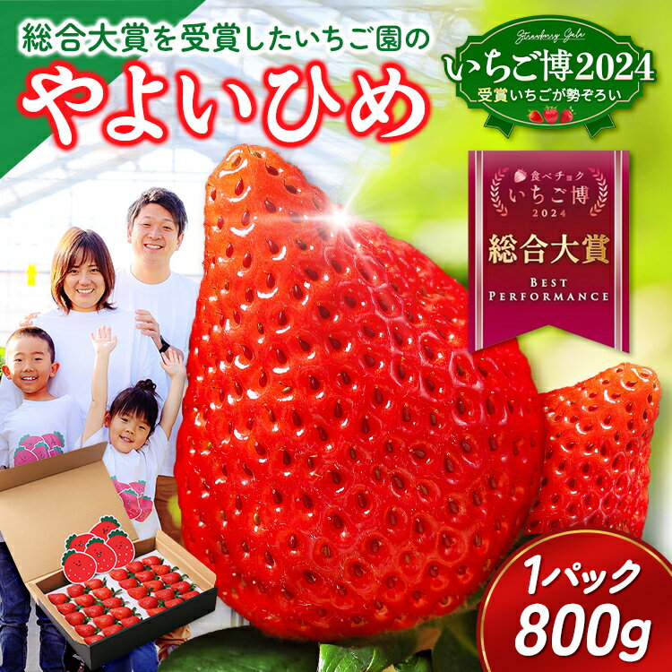 【ふるさと納税】【いちご博総合大賞】やよいひめ 約800g | いちご イチゴ 苺 ストロベリー 冷蔵 甘い 新鮮 完熟 大粒 果物 フルーツ 産地直送 国産 人気 おすすめ 高級 ギフト 贈答 ※2026年1月上旬～4月下旬頃に順次発送予定 ※沖縄・離島への配送不可