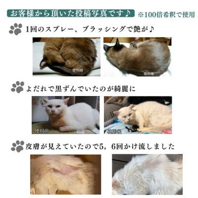 ふるさと納税 新居浜市 犬や猫など全てのペットの日常のお手入れや様々なお悩みに【あらいはま美容原液】クマ笹主体の希釈用原液 |  | 02