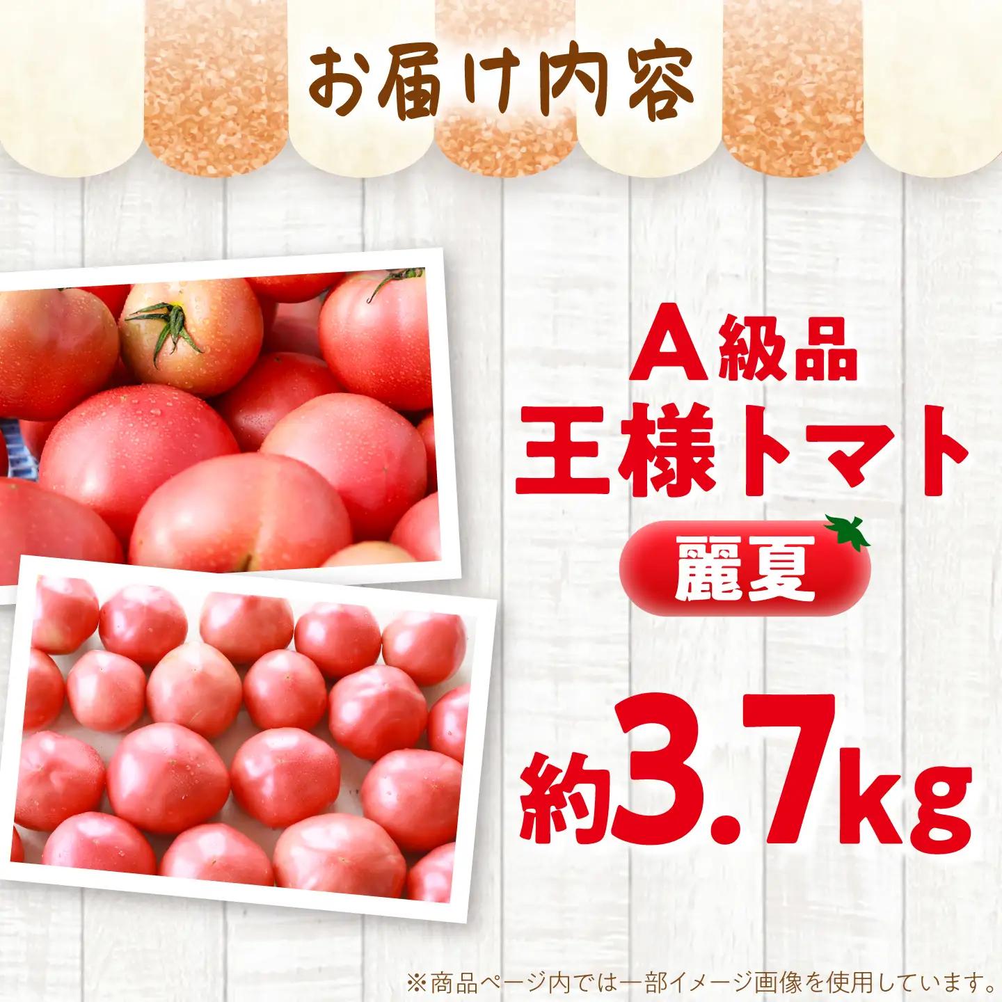 【7月上旬から順次発送】王様トマト 3.7kg 箱入り / トマト とまと 箱入り 3.7キロ 国産 / 恵那市 / 阿部農園[AUGA005]
