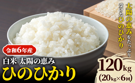 【令和6年産】白米 岡山県産 ひのひかり 笠岡産 120kg(20kg×6回)《10月下旬-9月下旬頃出荷》農事組合法人奥山営農組合 太陽の恵み