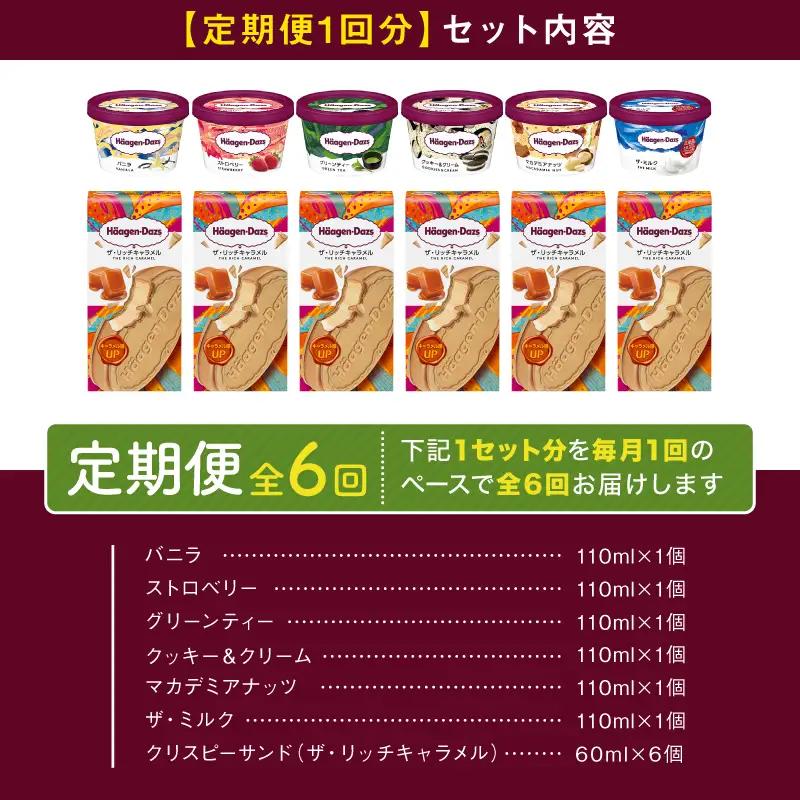 ＜全6回定期便・連続＞ハーゲンダッツ『ミニカップ＆クリスピーサンドセット(合計72個)』アイスクリーム アイス スイーツ デザート ミルクアイス アイススイーツ アイスデザート_H0016-138