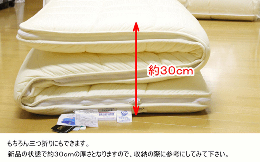 S24 スザキーズ 洗える 腰痛対策 敷き布団 セミダブル サイズ 寝具 洗濯可 
