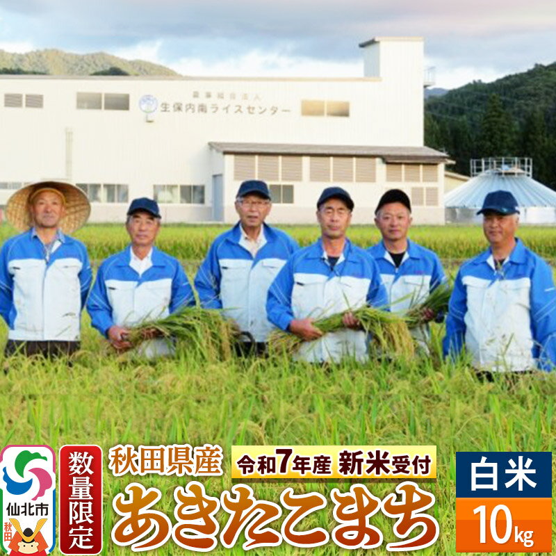 【ふるさと納税】＜令和7年産 新米予約＞【白米】あきたこまち 10kg（10kg×1袋）精米 秋田県仙北市産 10キロ