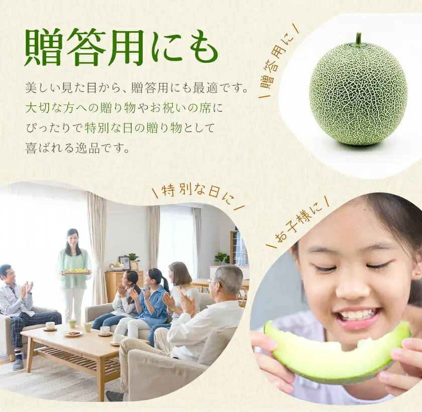 肥後グリーンメロン 1玉 熊本 株式会社エフビーネット《4月上旬-7月上旬頃出荷》