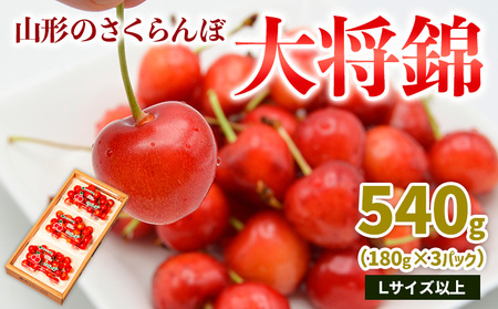 山形のさくらんぼ 大将錦 540g Lサイズ以上 (180g×3パック) 【令和8年産先行予約】FS25-017