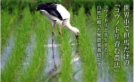 令和５年産　コウノトリ育むお米無農薬【5kg×2袋】（94-002）
