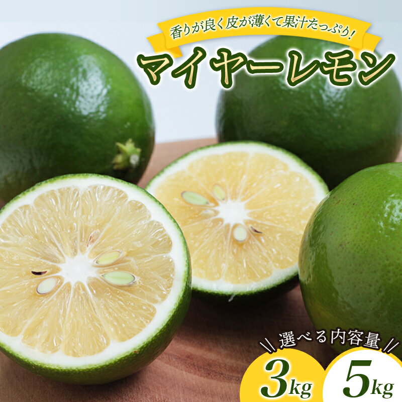 【ふるさと納税】 数量限定 マイヤーレモン 3kgまたは5kg 【2025年10月～2026年1月下旬の期間で順次発送】/ レモン 国産 マイヤーレモン 数量限定