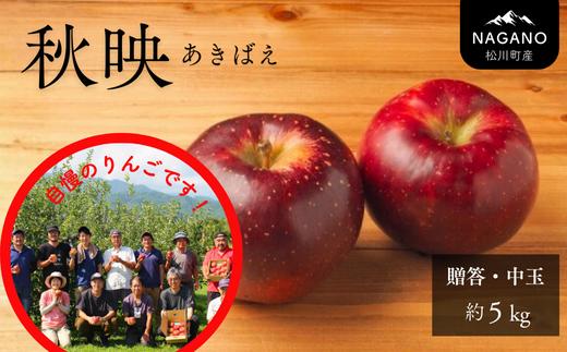KR09-26A 【先行予約】りんご 秋映（中玉）約5kg 贈答 / 2026年10月上旬頃～配送予定 // 長野県 南信州 松川町産 ギフトリンゴ 林檎 あきばえ 農家直送 農家支援 産地直送