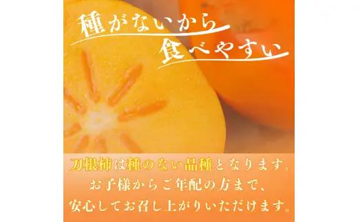 刀根柿 約 7.5kg※箱込み 家庭用 / カキ  甘い 種なし 美味しい 秋の味覚 和歌山県 紀美野町 ※2026年9月下旬～10月上旬に順次発送【frt504-c-tone-7d5】