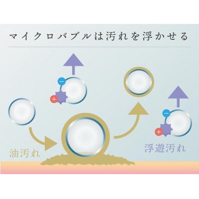 ふるさと納税 甲府市 AngelAir Beat TH-101-SB【シルキーブラック】(マイクロバブルシャワーヘッド) |  | 02