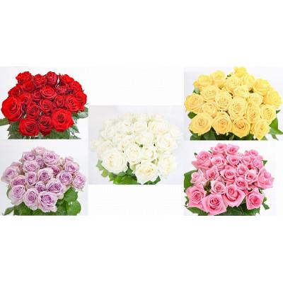 ふるさと納税 寒河江市 【色おまかせ3色以上】薔薇の花 20本×長さ60cm (切り花延命剤付属)※ 配送不可 沖縄・離島 |  | 02