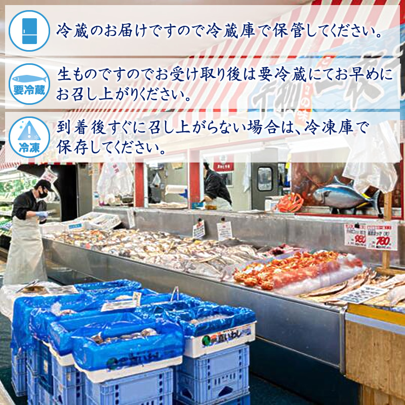 【定期便 2ケ月連続】 お魚の目利きのプロにお任せ！北海道産（国産） 天然 鮮魚 約500g～1kg（釧路の鮮魚セット） 産地直送 冷蔵 冷蔵便 刺身 鮮魚 セット 北海道 釧路町 釧路超 特産品_イ