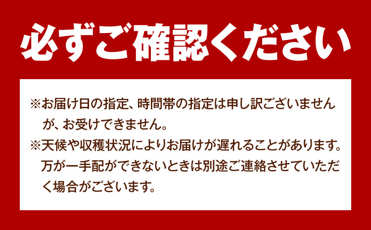 【2025年先行予約】ご家庭用 岡山県産 シャインマスカット 約1.2kg ( 2〜3房 ) クール便 晴れの国 おかやま館 (つむぐ株式会社) 《2025年9月上旬-11月中旬頃出荷》岡山県 浅口市