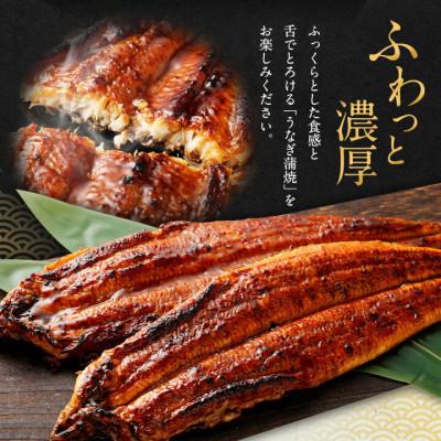 ふるさと納税 阪南市 【2026年5月2日より順次発送】「国産うなぎ蒲焼」3尾(690〜750g)【BBQにおすすめ】 |  | 01