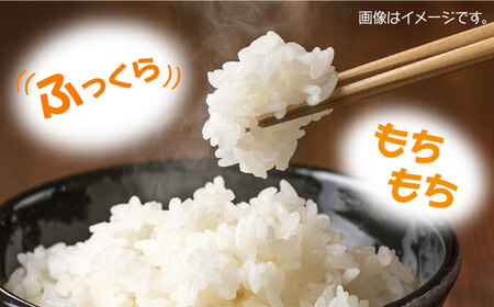 【2026年10月中旬以降順次発送】佐護 ツシマヤマネコ 米 5kg×2  米 玄米 減農薬 ねこ [WAP023]