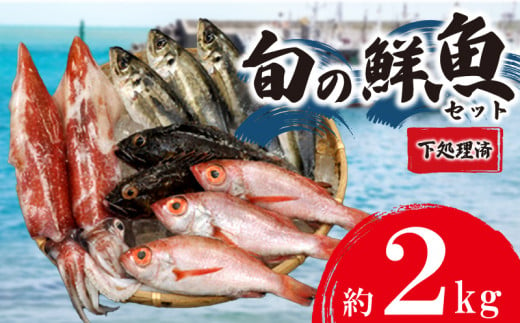 旬 の 鮮魚 ボックス 約 2kg 赤いか のどぐろ アジ  処理済み 詰め合わせ 天然 下処理 済み おまかせ お楽しみ 魚 魚介 旬 春 夏 秋 冬 中元 歳暮 年末年始 下関 山口