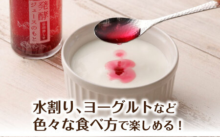 発酵ジュースのもと〈日田赤しそ〉 110ml×5本 ジュース 紫蘇 しそ 紫蘇ジュース 果実飲料 [ARDA003]