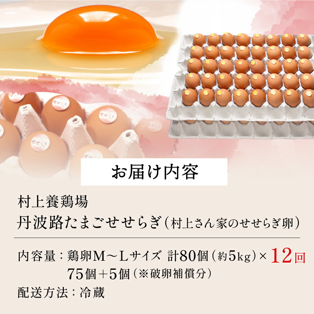 【12ヶ月定期便】「村上さん家のせせらぎ卵」75個＋5個破卵補償 (計80個） 極上たまご 卵 玉子 鶏卵 新鮮 朝採れ 平飼い 自然豊か 毎月お届け 定期便 産地直送 お取り寄せ 兵庫県 丹波市