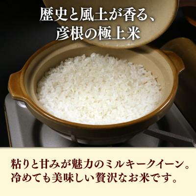 ふるさと納税 彦根市 令和7年産新米ミルキークイーン白米5kg 甘みと強い粘りが特徴 |  | 01