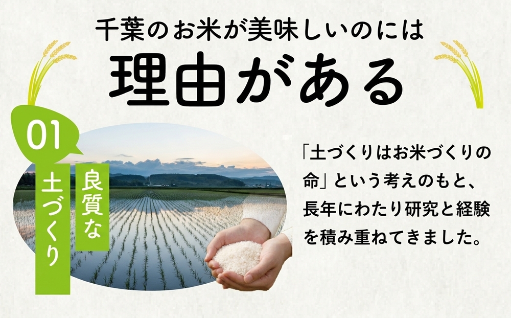 新米 9月配送 【コシヒカリ 10kg】 米 お米 こめ コメ こしひかり 8年度産 