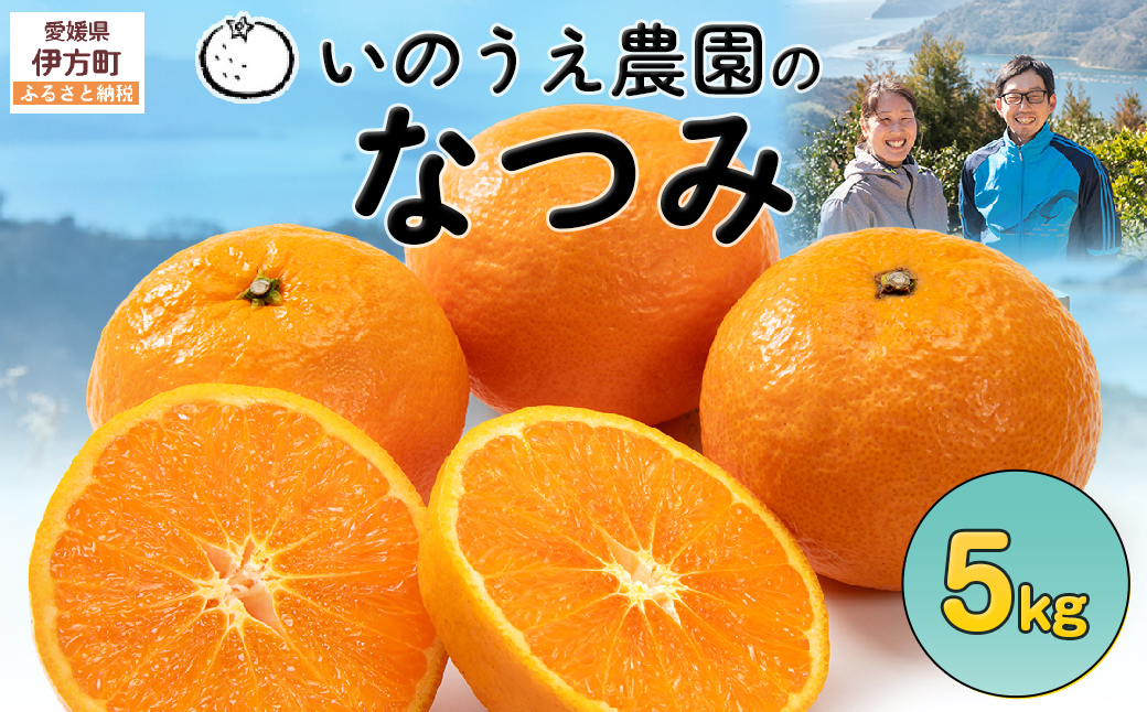 【先行予約】いのうえ農園のなつみ 5kg ※離島への配送不可 (※2026年5月上旬頃より順次発送)  IKTAI002