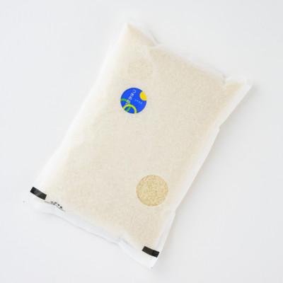 ふるさと納税 新庄市 米食味鑑定士厳選 新庄産米 つきあかり (精米) 2kg