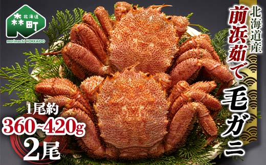 【12/27~12/31にお届け】北海道 毛ガニ 容量が選べる 前浜茹で毛がに 約360g～420g 2尾 かに カニ 蟹 ガニ がに 森町 毛蟹 毛かに 毛がに 毛カニ 毛ガニ mr1-1113