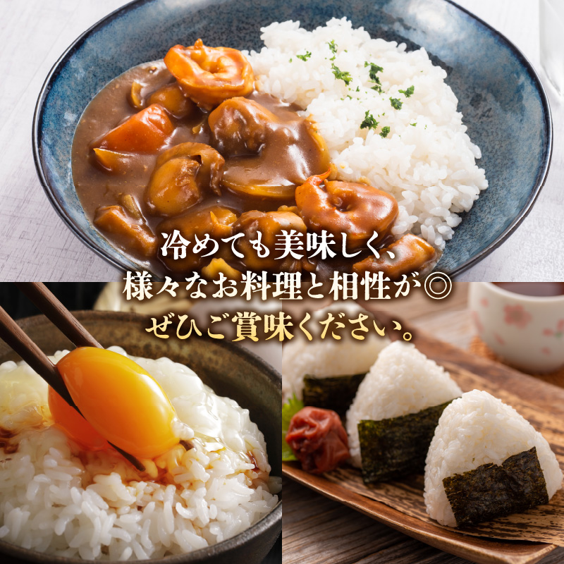 S061-T05_【3ヶ月定期便】先行受付 特別栽培米 天草五ッ星米 精米 5kg
