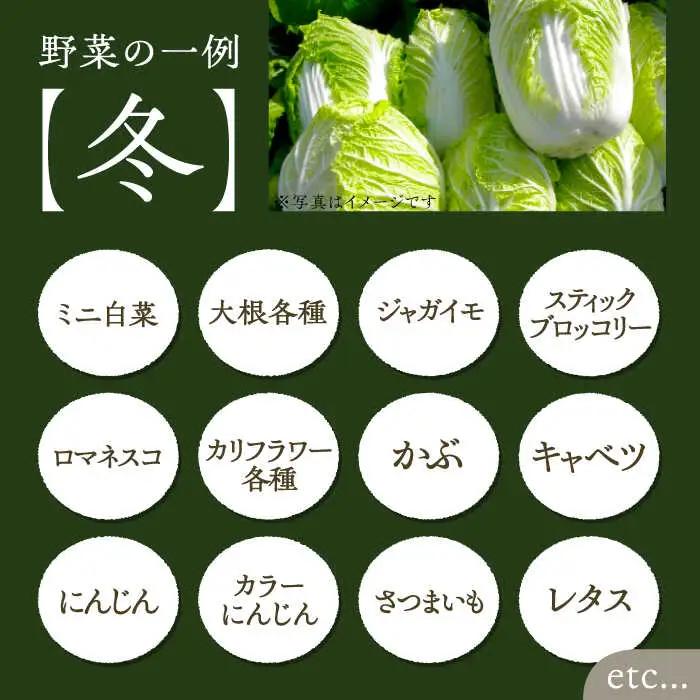 【全3回定期便】農家が選ぶ！ 旬の新鮮野菜セット[VBE008]産直 野菜 やさい 詰め合わせ