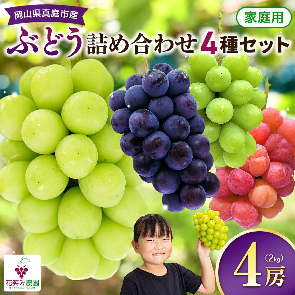 【ふるさと納税】 訳あり シャインマスカット 入り 食べ比べぶどう4種セット 2kg 家庭用 【2026年発送 先行予約】 食べ比べ セット 詰め合わせ ぶどう ブドウ 葡萄 ピオーネ 送料無料 数量限定 期間限定 産地直送 人気 果物 フルーツ くだもの 岡山 花笑み農園 ギフト