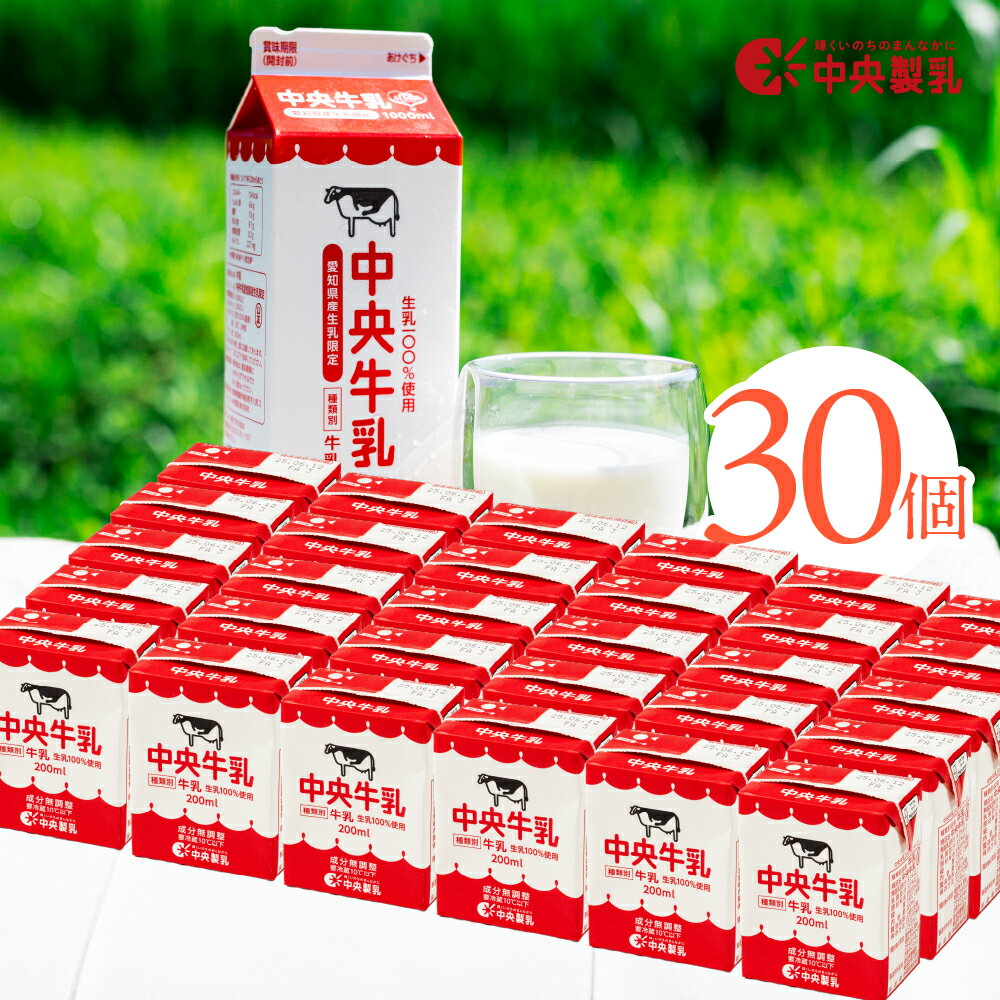【ふるさと納税】 中央製乳 中央牛乳200ml 選べる 9本 30本 セット 牛乳 ミルク 成分無調整 牛乳 新鮮 生乳100%使用 愛知産生乳限定 飲みきりサイズ 愛知県 豊橋市