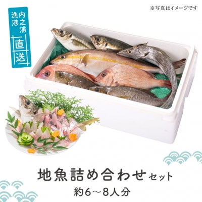 魚屋さんの選んだ新鮮お魚詰め合わせ(約6?8人分)　C09001