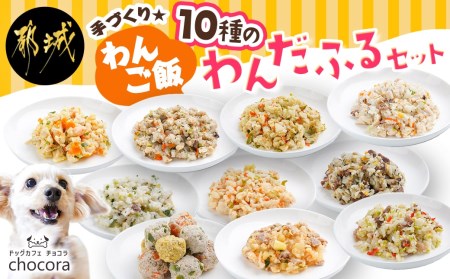 手づくり☆わんご飯『10種のわんだふるセット』_AC-J501_(都城市) 犬用 手づくりご飯 鶏ごぼうご飯 サーモンリゾット すき焼き風ご飯 とまとスープご飯 ぶり大根 馬肉ッパ 牛しぐれ等 ペットフード