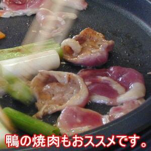 鴨ももスライス　計600g(150g×4パック)【配送不可地域：離島】【1721061】