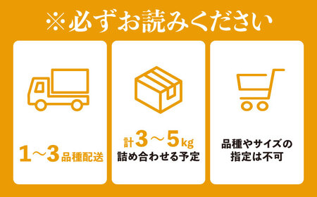 【全6回定期便】江田島市から旬の柑橘類をお届け！お楽しみ福袋 みかん フルーツ 果物 数量限定 期間限定 江田島市/江田島市観光協会[XAI009]