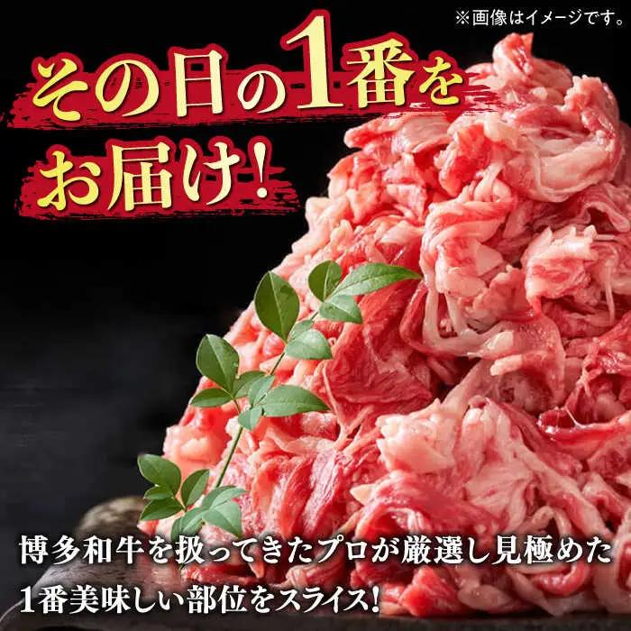 【訳あり】牛肉切り落とし 5kg (500g×10p） 博多和牛 牛肉切り落とし [ABBP066]
