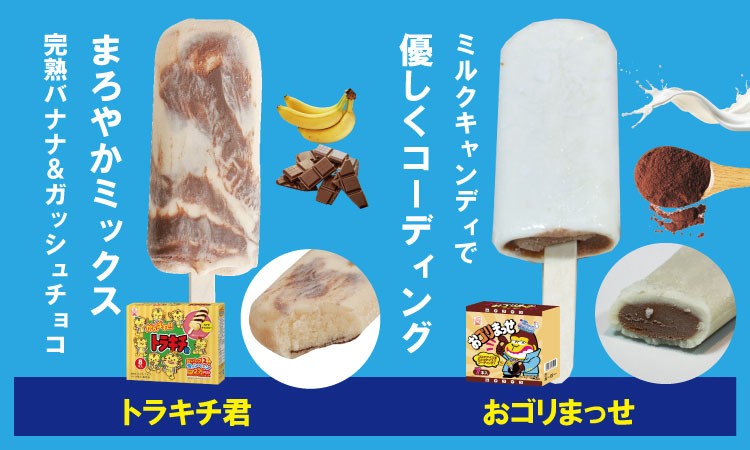アイスクリーム 60本 アイスクリーム アイス 竹下製菓 ソウルアイス アイスバー 佐賀県 小城市