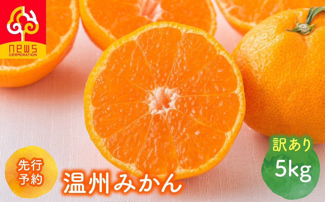 
                  【先行予約】【訳あり】温州みかん 5kg（2026年11月上旬より順次発送）【ふるさと納税 人気 おすすめ ランキング みかん ミカン 蜜柑 温州みかん 温州ミカン フルーツ 果物 産地直送 ニュウズ 愛媛県産 愛媛県 伊方町 送料無料】IKTF031
                