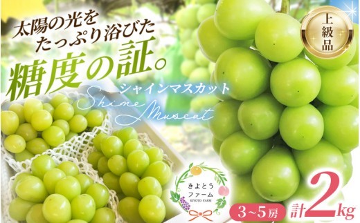 
            【2026年先行予約】シャインマスカット3～5房/計2kg~ (岡山県産)【KF-B016-03】
          