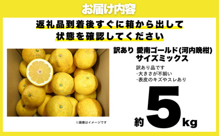 先行予約 訳あり 愛南ゴールド 5kg 愛南フルーツ 柑橘 愛南ゴールド 愛媛 みかん 国産 果物 愛南ゴールド 傷あり 旬 お届け ブランド オレンジ 愛南ゴールド 減農薬 有機 ビタミン 愛南ゴー
