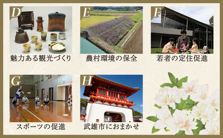 【応援寄附金】佐賀県武雄市 まちづくり応援寄附金 返礼品なし（30,000円分）[UZZ106]