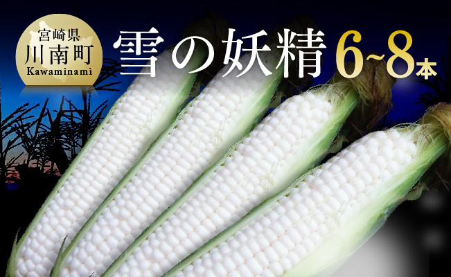 【令和5年発送】大山さんちのホワイトコーン(雪の妖精)6～8本【 先行予約 数量限定 期間限定 とうもろこし スィートコーン 2023年発送 先行受付 宮崎県産 九州産 】