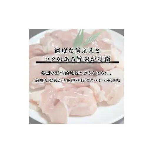 熊ヤン生ソーセージ